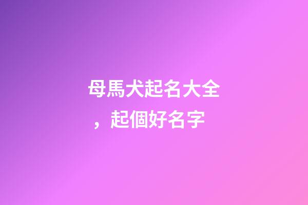 母馬犬起名大全，起個好名字